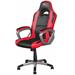 TRUST GXT 705 Ryon Gaming Chair