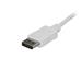 1,8 m USB-C till DisplayPort-kabel - 4K 60Hz - Vit